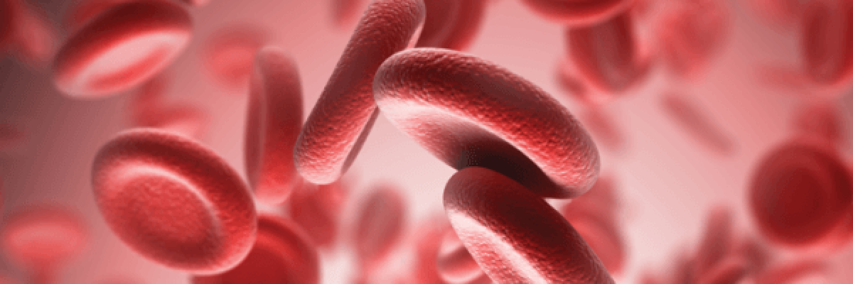 https://www.saludemia.com/documents/425003/439517/DiaMudialMielomaMultiple/21f909be-f280-4647-b1f5-a2cd3feb6e95?t=1504180502700