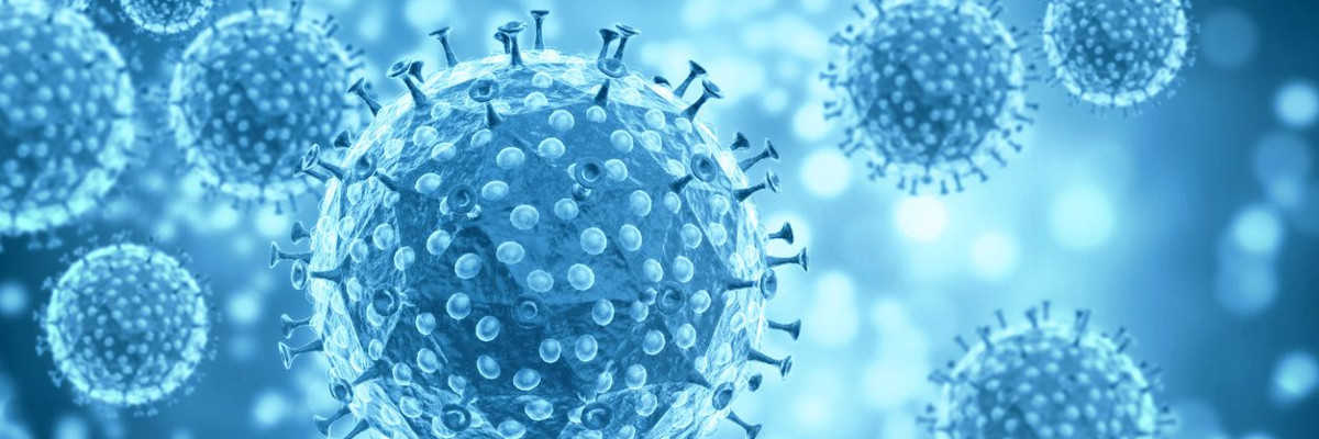 https://www.saludemia.com/documents/425003/439517/celulaCoronavirus.jpg/a8fce799-7588-4b9b-9cfe-20af1a811c3e?t=1588927777159
