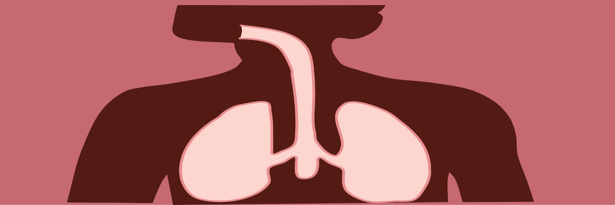 https://www.saludemia.com/documents/425003/439517/fibrosisQuistica.png/7f43c291-63f6-4569-9433-f90f0895569c?t=1631086102620