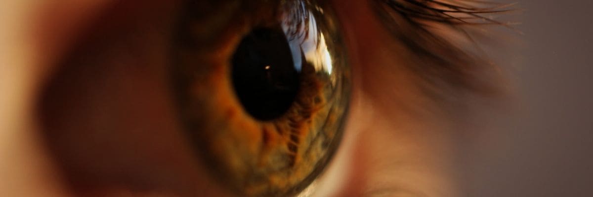 https://www.saludemia.com/documents/425003/439517/ojo/3e1678da-ef84-4733-bd32-f005c8ca3240?t=1646901363000