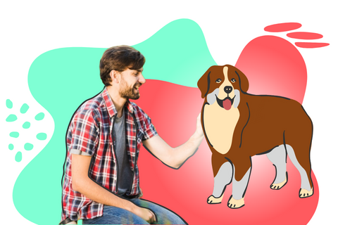 Vida Saludable - AlcoholismoAlimentación saludableAnimales de compañía